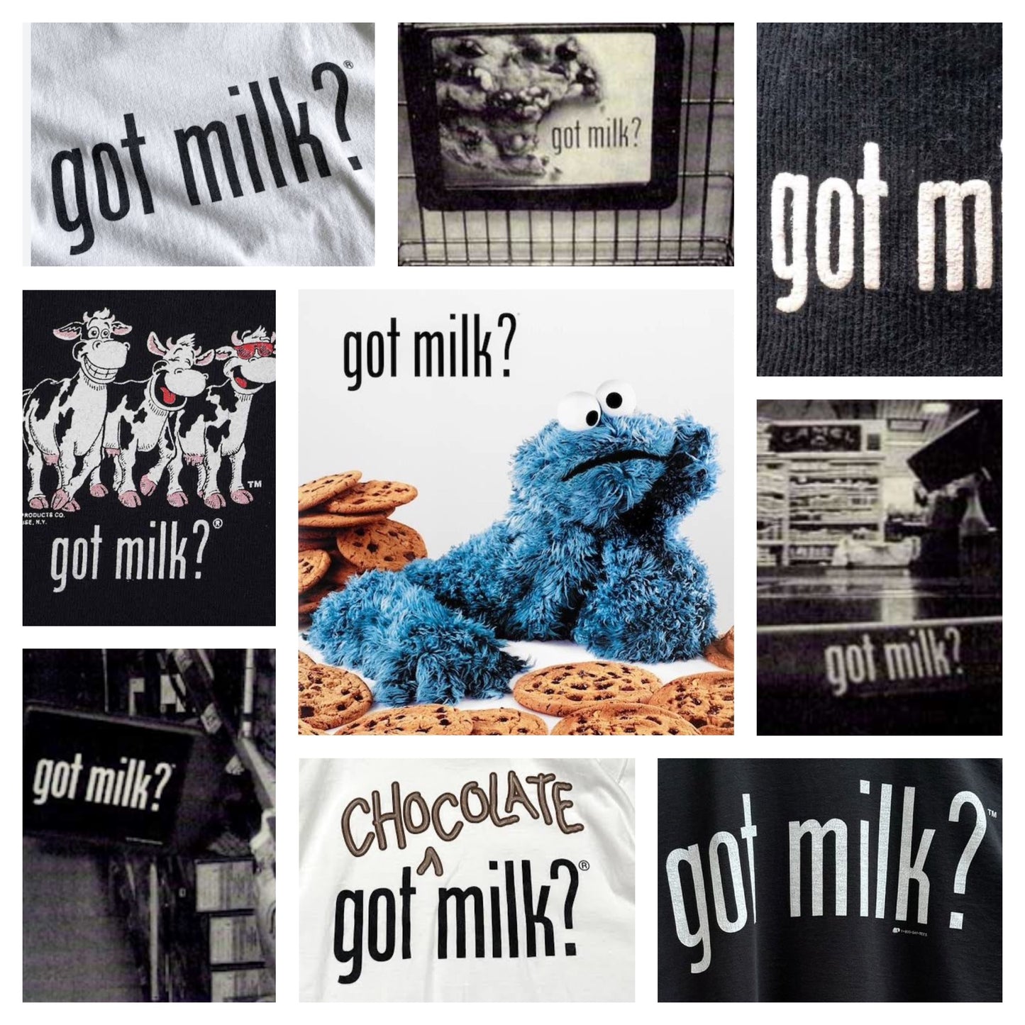 got video? Tee ゴットビデオ?リピト・イシュタール VHS イベント限定 オリジナルTシャツ PRO CLUB プロクラブ lipit got milk?