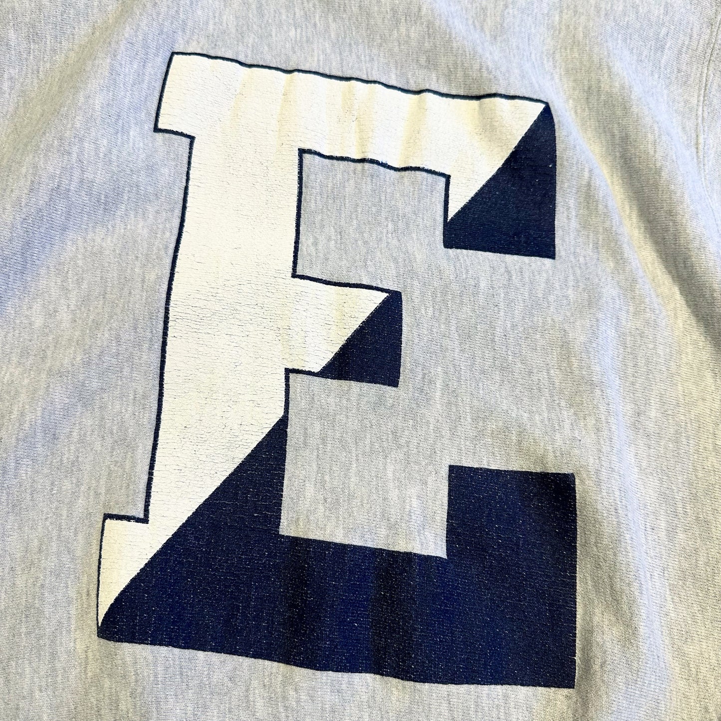 90s 刺繍タグ チャンピオンリバースウィーブ Elizabethtown College Champion REVERSE WEAVE Mサイズ バックプリント E ヴィンテージ