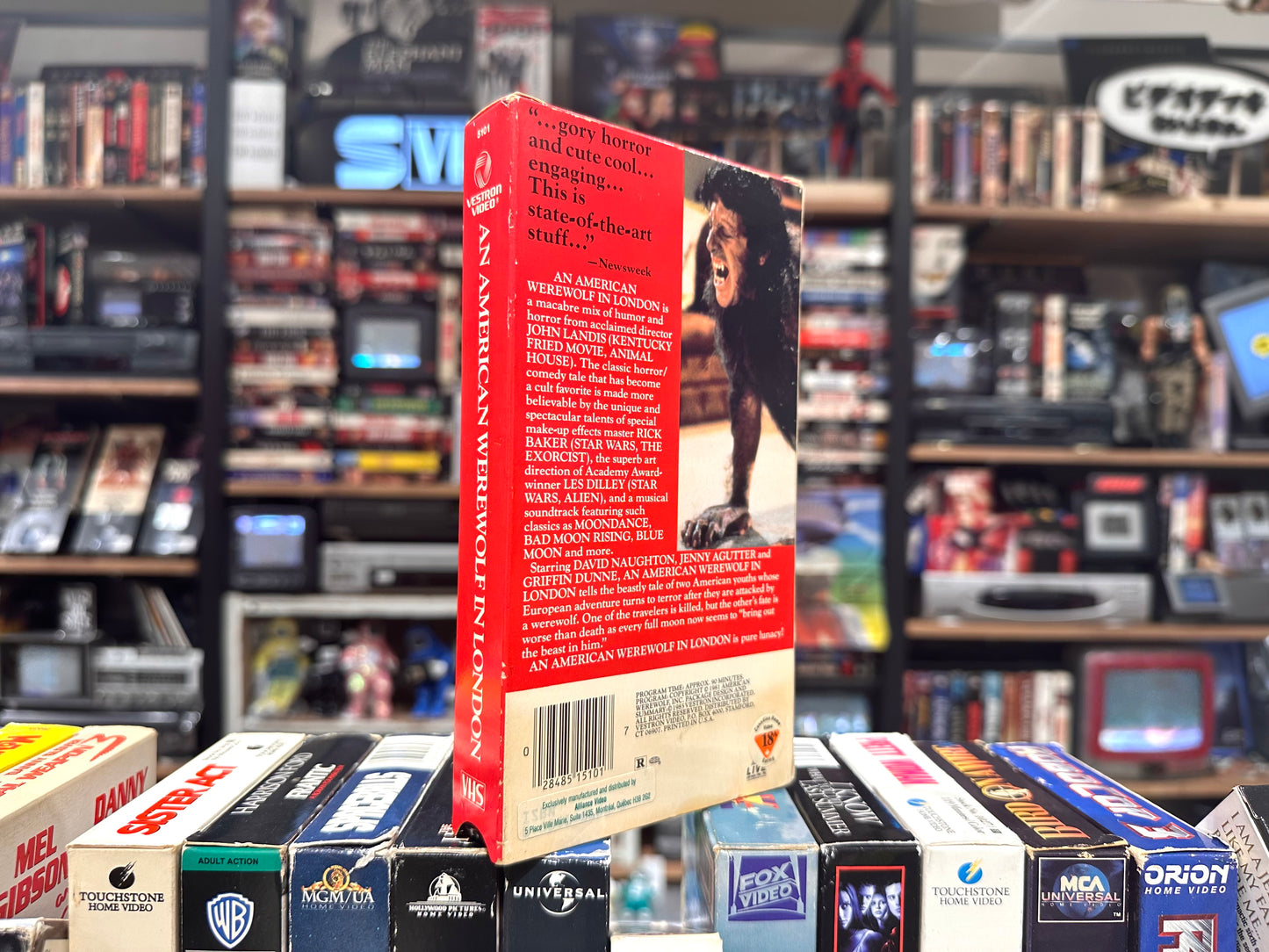 VHS ビデオテープ 輸入盤 狼男アメリカン AN AMERICAN WEREWOLF IN LONDON ホラー コメディ 海外版 USA アメリカ ビデオ 紙ジャケ