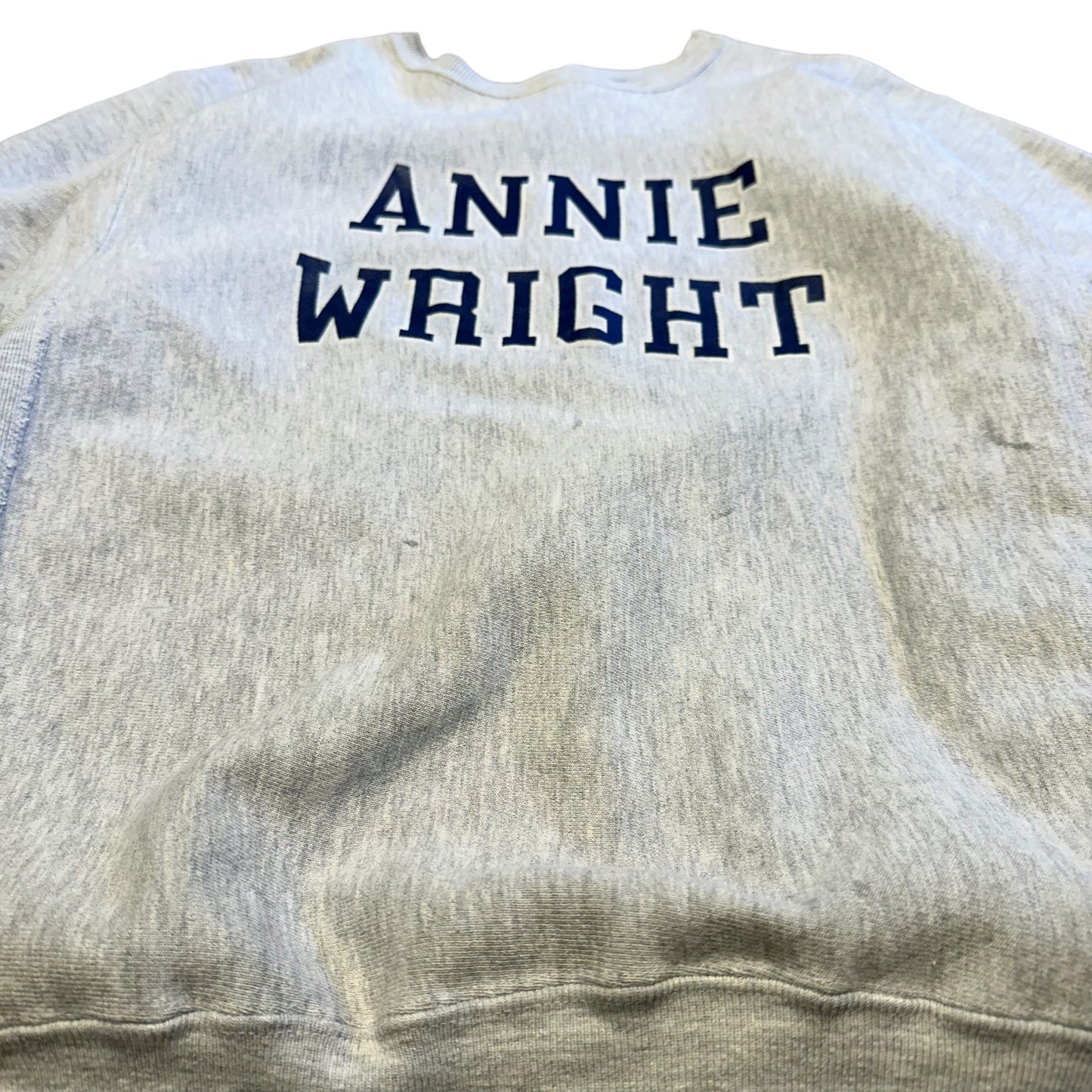 90s 刺繍タグ USA チャンピオンリバースウィーブ ANNIE WRIGHT SCHOOLSREVERSE WEAVE 古着 ヴィンテージ