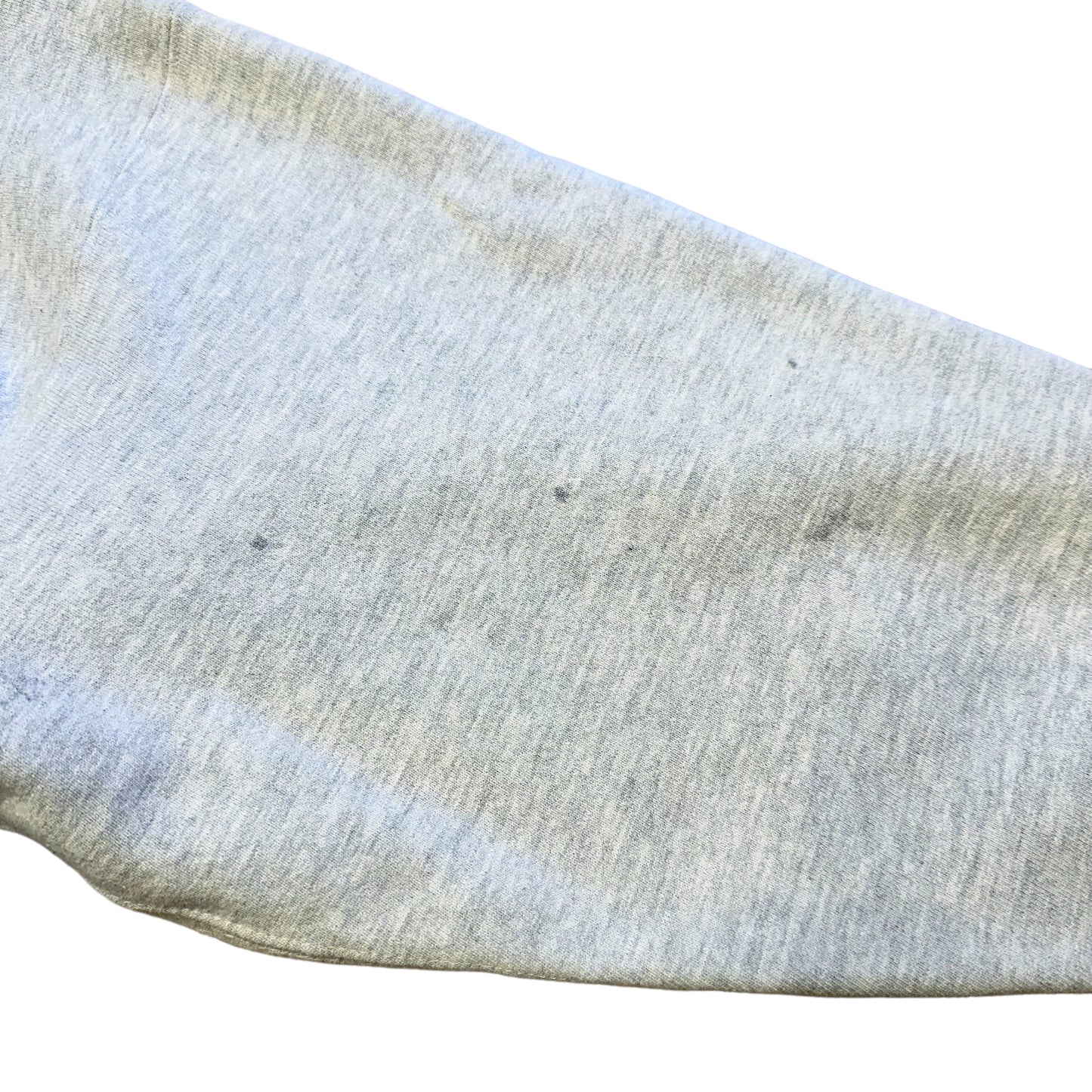 90s 刺繍タグ USA チャンピオンリバースウィーブ ANNIE WRIGHT SCHOOLSREVERSE WEAVE 古着 ヴィンテージ