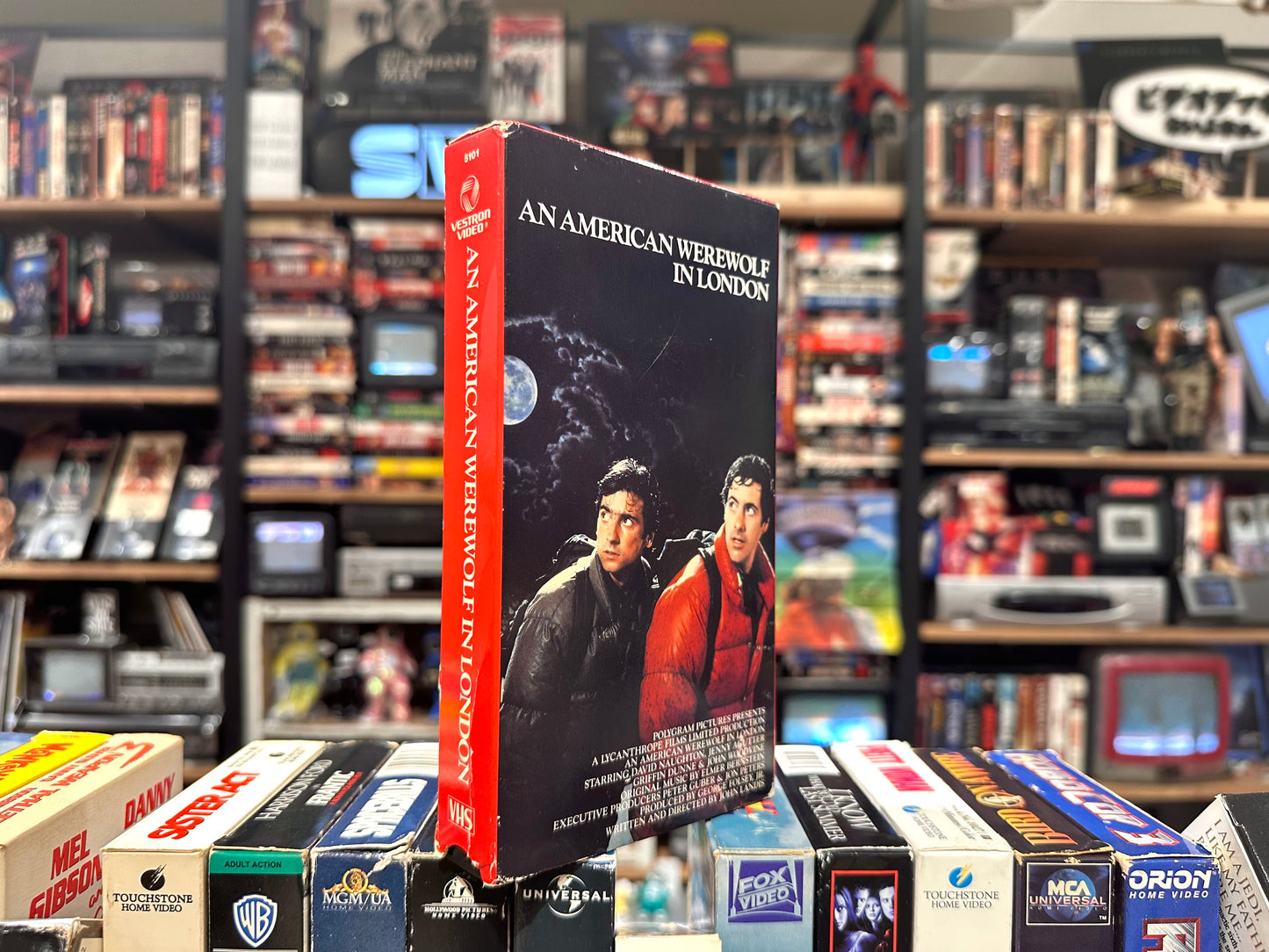 VHS ビデオテープ 輸入盤 狼男アメリカン AN AMERICAN WEREWOLF IN LONDON ホラー コメディ 海外版 USA アメリカ ビデオ 紙ジャケ